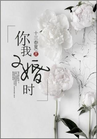 二婚txt