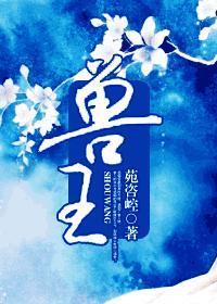 兽王争锋之原石之力免费观看全集