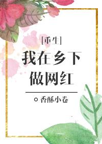 重生之我在乡下做网红