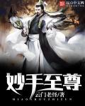 妙手神医是谁?