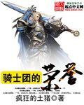骑士团900年