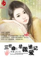 三恋曲总裁追爱记 向日葵的沉默