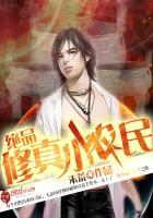 绝品小农民 txt