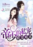 帝少的私宠新妻