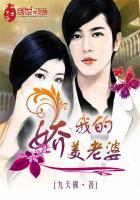 我的娇妻外