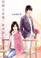 闪婚总裁的娇妻