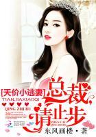 天价宠妻 总裁休想逃