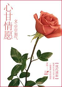 心甘情愿的拼音