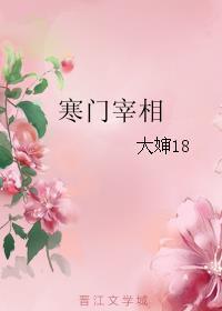 寒门宰相讲的什么