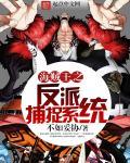海贼之反派召唤系统