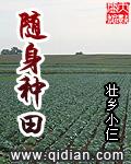 随身流种田文