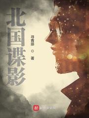 北国谍影大结局是什么