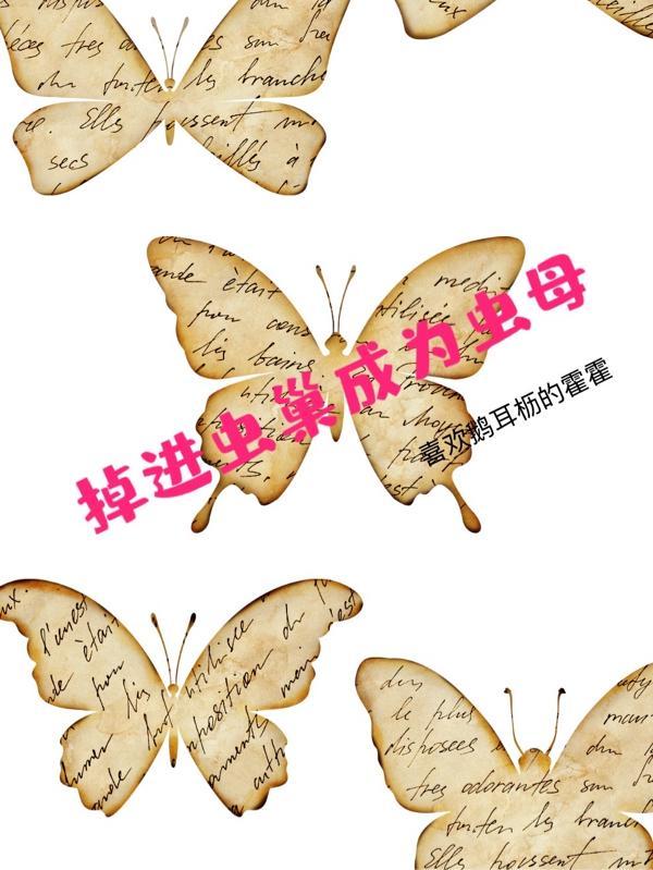 神明调查报告
